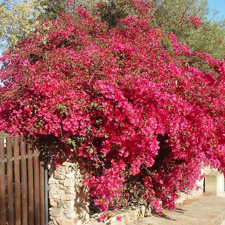 Casa a 300mt.dal mare CalaSinzias, 6 letti, AC, Pets welcome, Wi-Fi free Cala Sinzias Esterno foto
